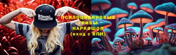 тгк Беломорск