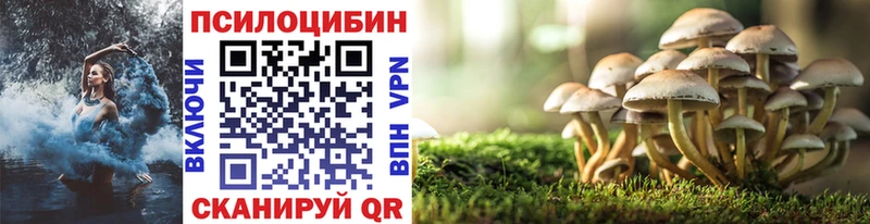 Псилоцибиновые грибы прущие грибы  Уссурийск 